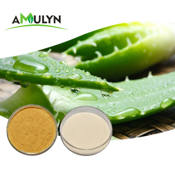 Aloe Vera ganzes Blatt gefriergetrocknetes Pulver 100:1